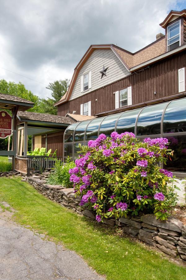 Pine Hill Arms Hotel Exteriér fotografie